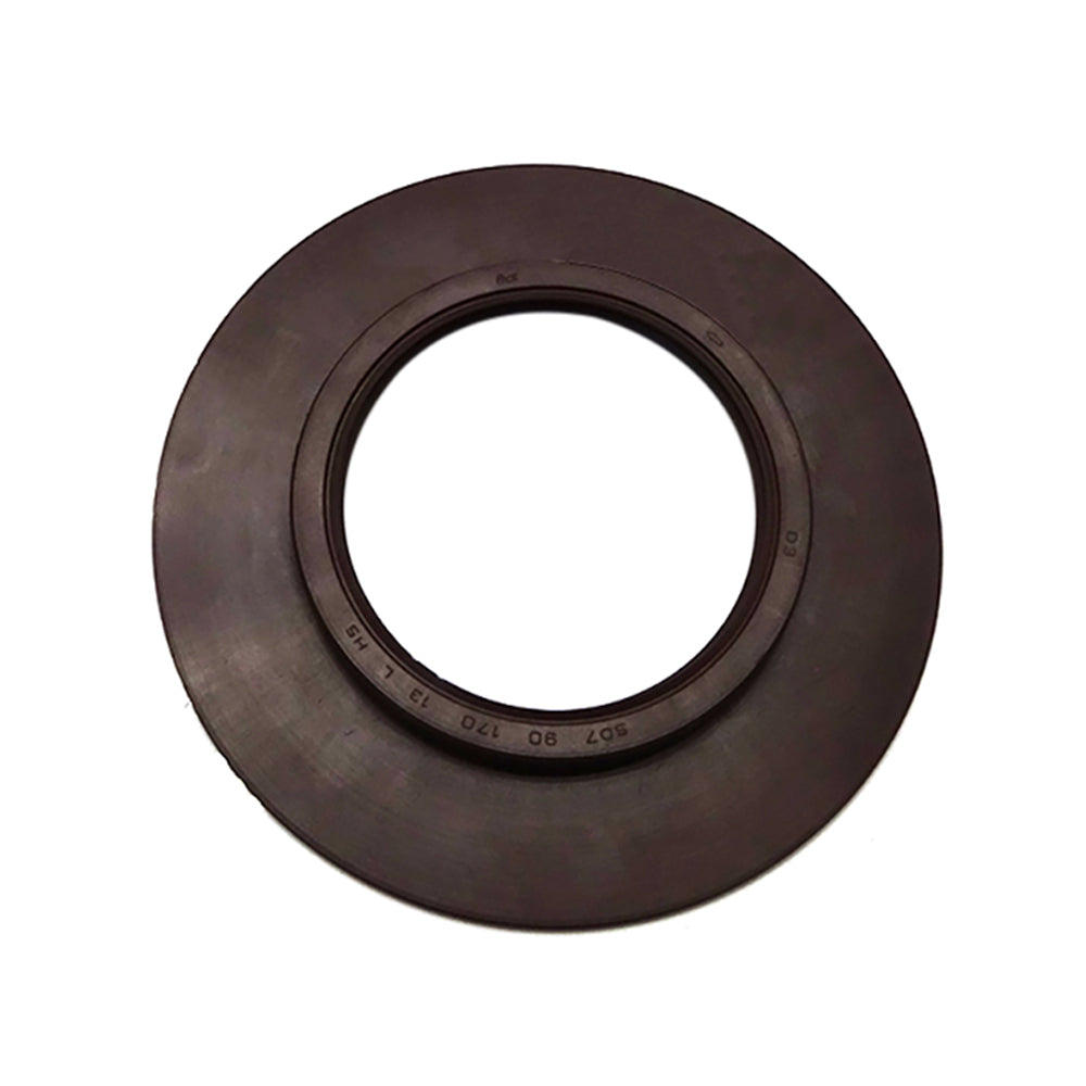 Rear End Oil Seal 50209083 for Perkins 400